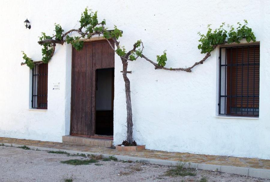 Casa Rural Casa Maxima Yecla Room photo